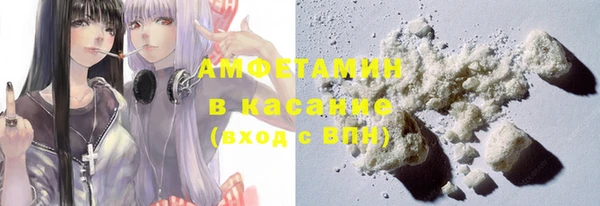 трава Гусиноозёрск