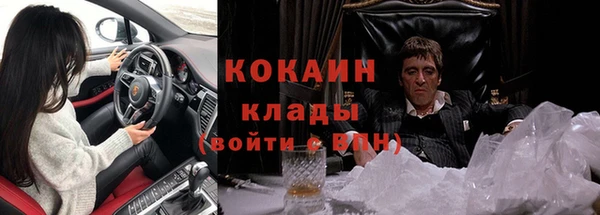 тгк Дмитриев