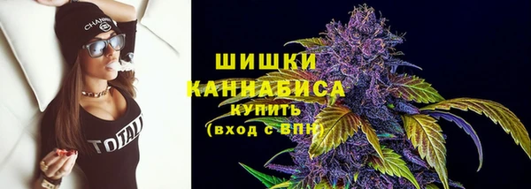 индика Дмитров