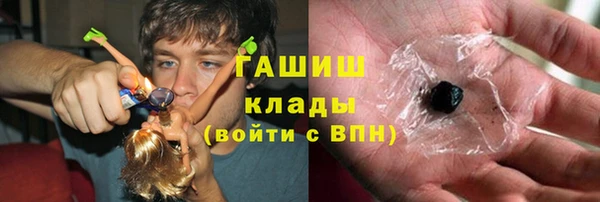 индика Дмитров