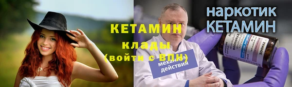 индика Дмитров