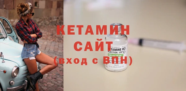 индика Дмитров