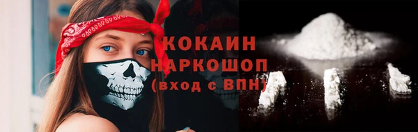 индика Дмитров