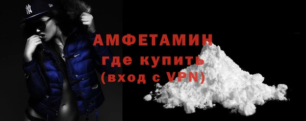 индика Дмитров