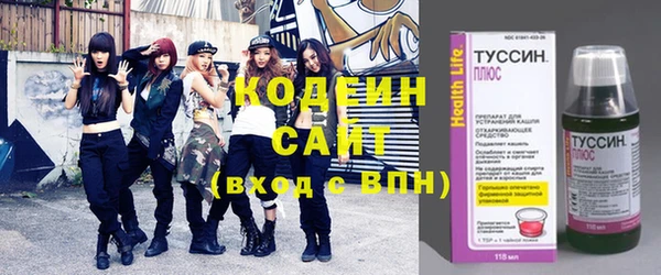 тгк Дмитриев