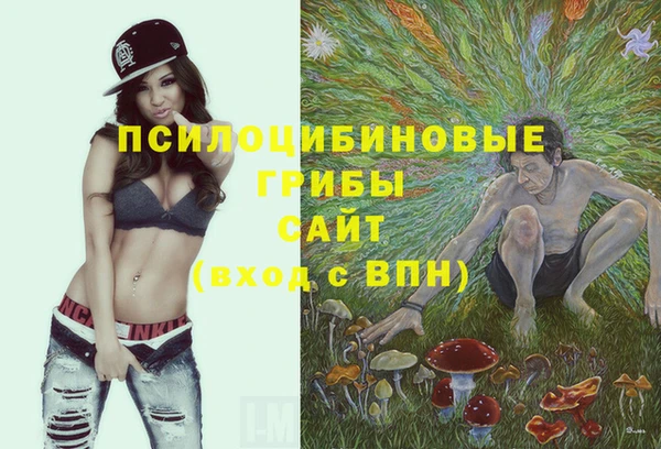 индика Дмитров