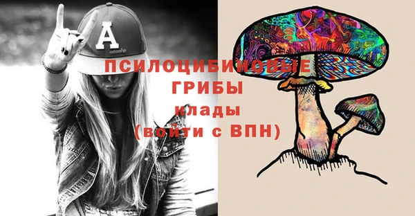 тгк Дмитриев