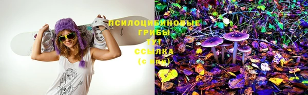 индика Дмитров