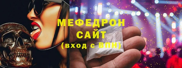 тгк Дмитриев