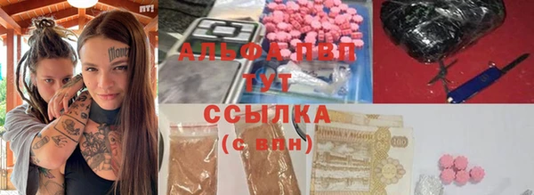 тгк Дмитриев