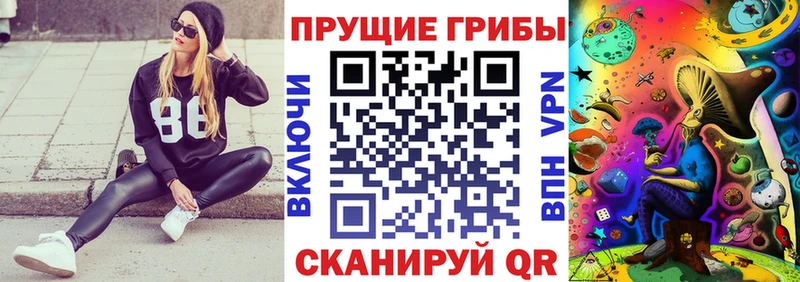 Галлюциногенные грибы Psilocybe  где можно купить   ОМГ ОМГ онион  маркетплейс как зайти  Ершов 