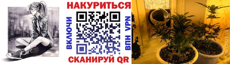 МАРИХУАНА White Widow  нарко площадка Telegram  Ершов 